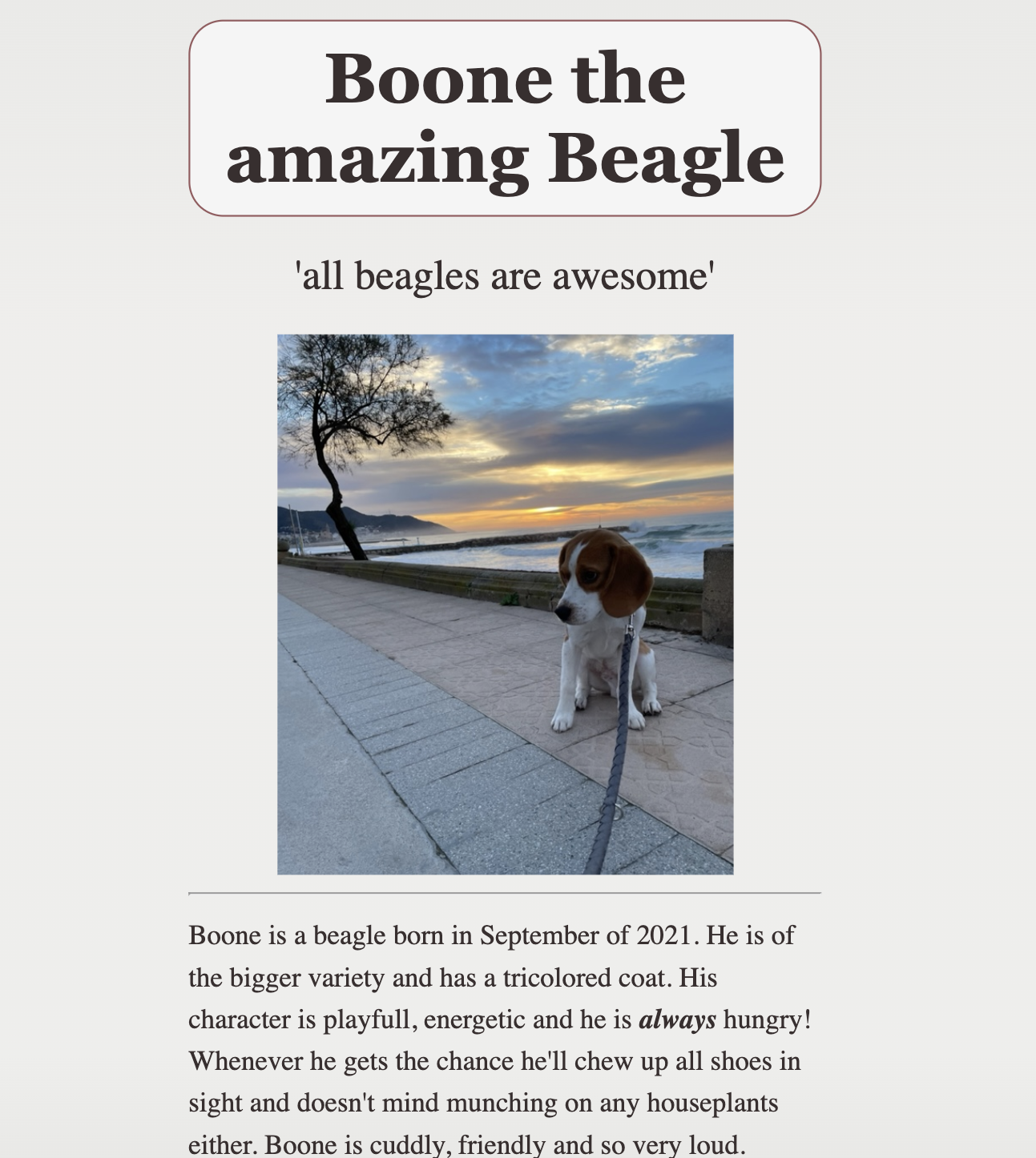 beagle-appreciation-project